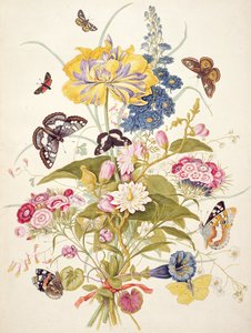 Stillleben mit Blumen, darunter eine Papageientulpe, Rittersporn, Bartnelke, Enzian und Alpenveilchen, 1769